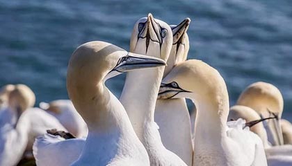 开云体育下载-【英超】萨拉赫点射扳平 利物浦客平升班马未超热刺